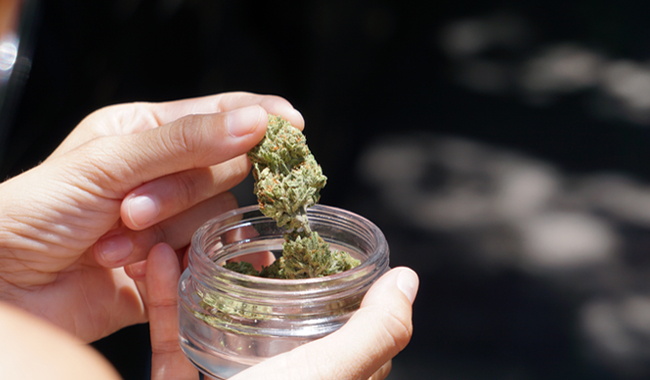 Quality CBD Store
